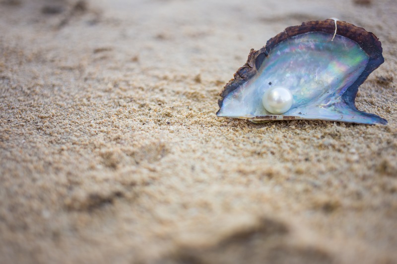 This Valentine’s Day, Discover Jewelry from the Sea