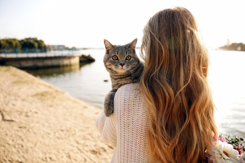 A History Of Fishing With Cats On The Water