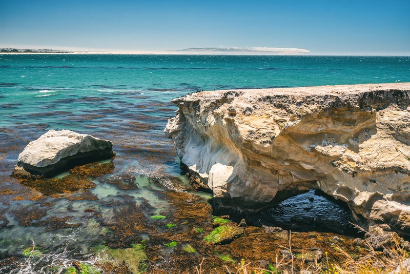 Get To Know The Clam Capital Of The World