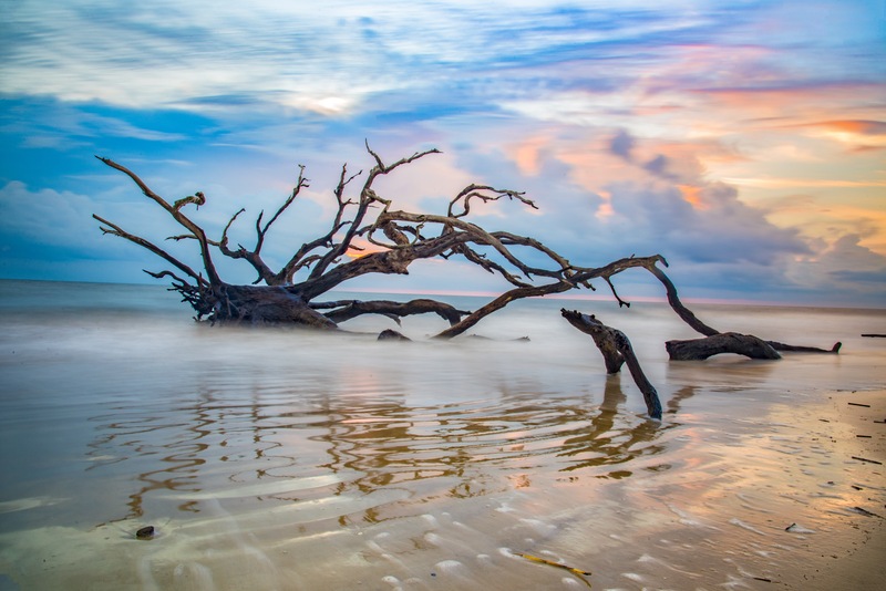 Why Logs & Driftwood Are An Angler’s Secret Treasure Map