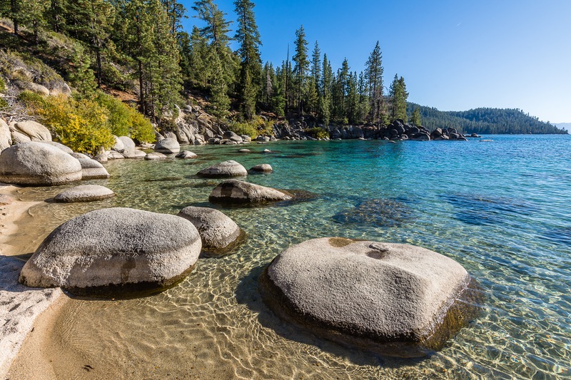 Why Mackinaw Is A Must-Catch For Lake Tahoe Anglers