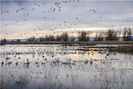 Chilling Thrills: A Guide to Winter Fishing Fun From Your Blackfin Boat