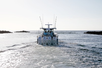 From Sunrise to Sunset: A Day in the Life of a Blackfin Owner