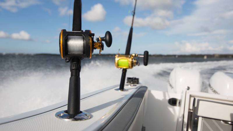 What Fish Bite in the Winter